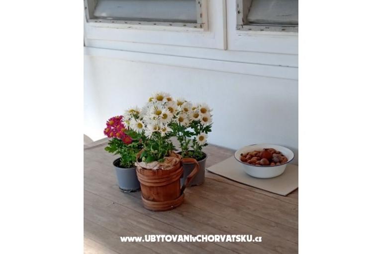 Apartament Viter – foto 5