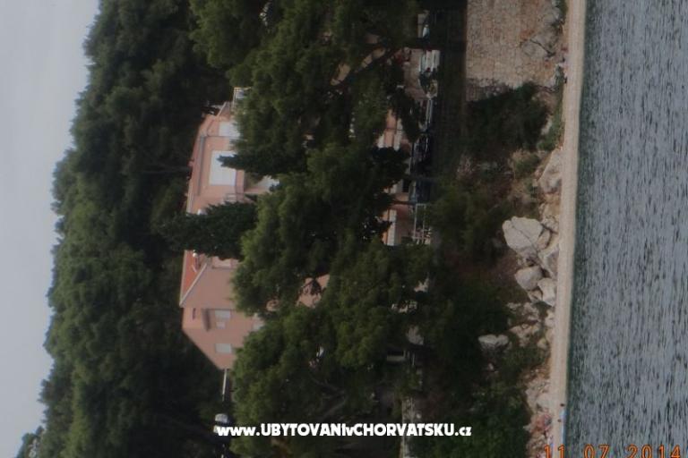 Apartamenty Dragičević – foto 14