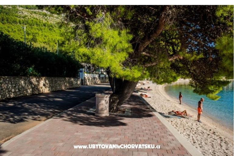 Apartamenty Martinović – foto 13