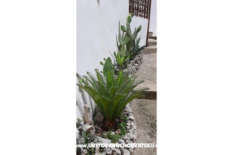 Apartamenty Ružica  – foto 12