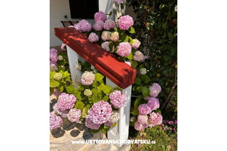 Apartamenty Ana Ercegović  – foto 10