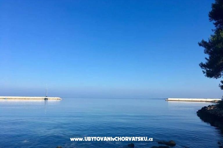 Apartamenty Ana Ercegović  – foto 12