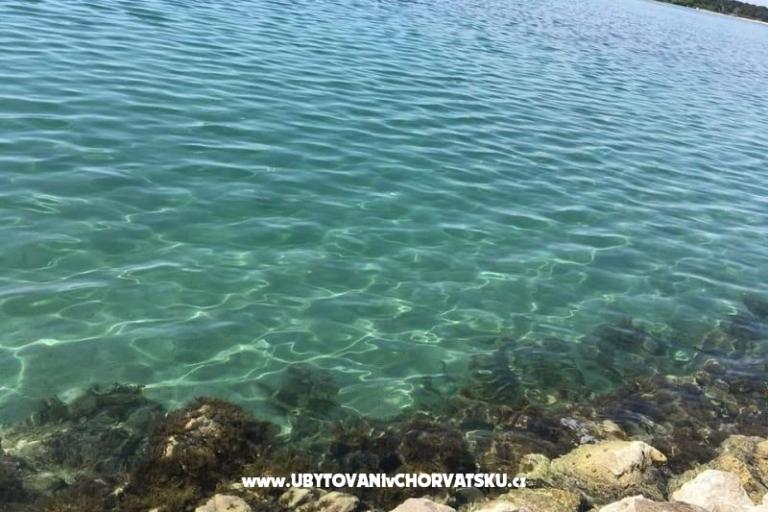 Apartamenty Ana Ercegović  – foto 15