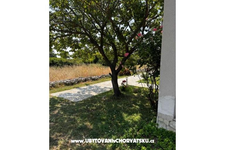 Apartamenty Ana Ercegović  – foto 8