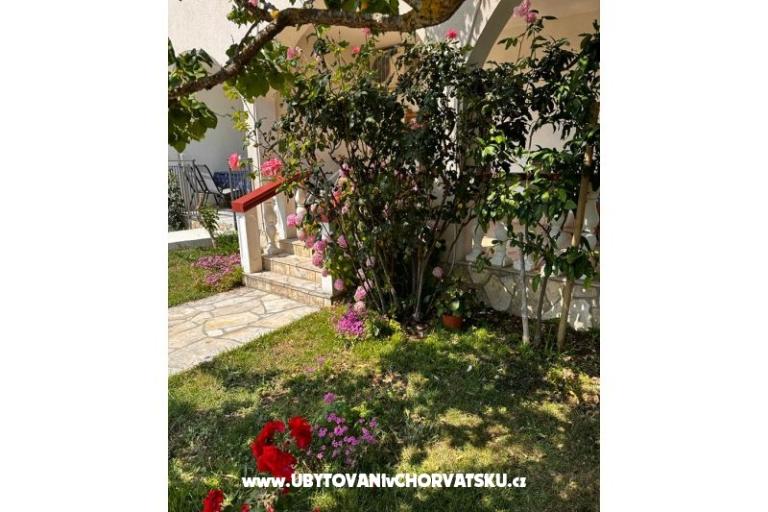 Apartamenty Ana Ercegović  – foto 9