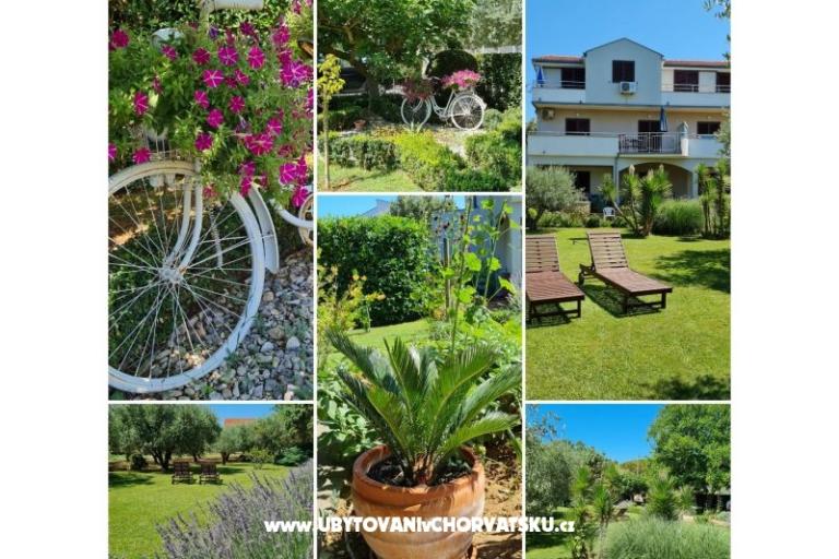 Apartamenty Peroš – foto 8