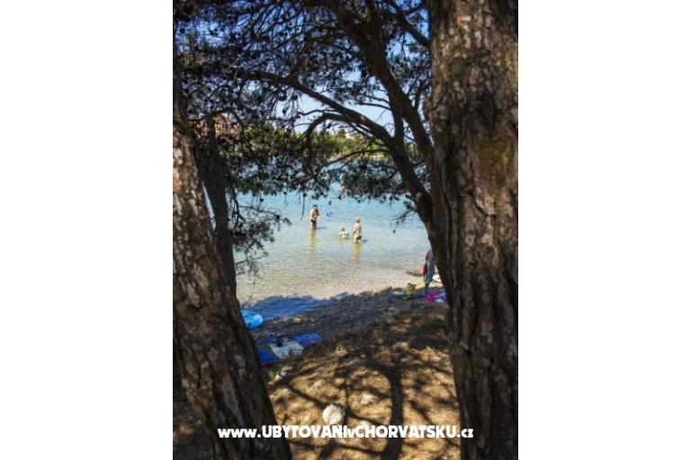 Apartamenty Zatonka – foto 13