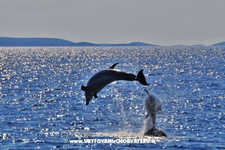 Apartamenty Eva &amp; Ante – foto 19