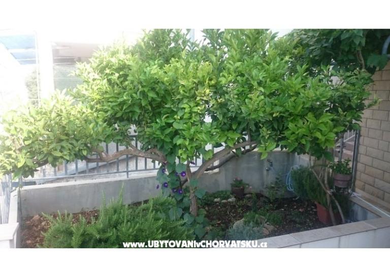 Apartamenty Jovanović – foto 12