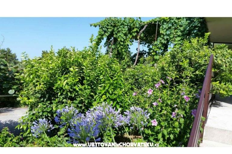 Apartamenty Lily – foto 5