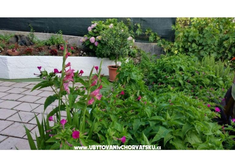 Apartamenty Lily – foto 8