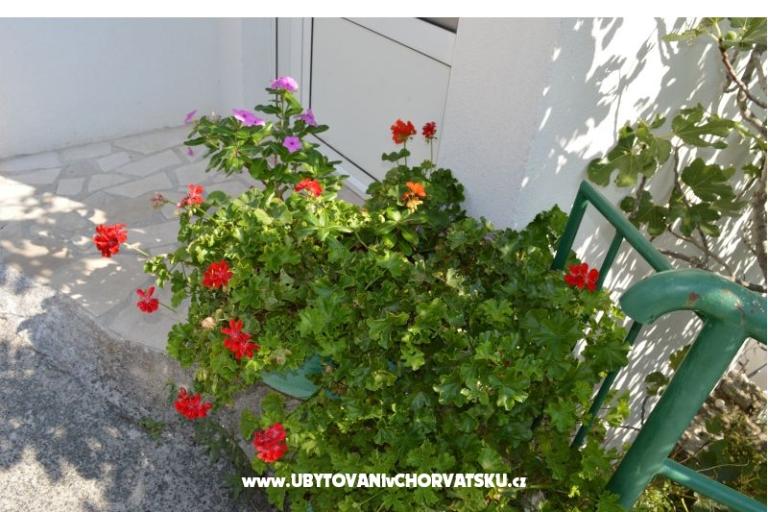 Apartamenty Majstrović Živogošće – foto 12