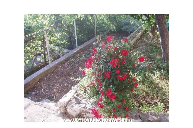 Apartamenty Tiho – foto 11