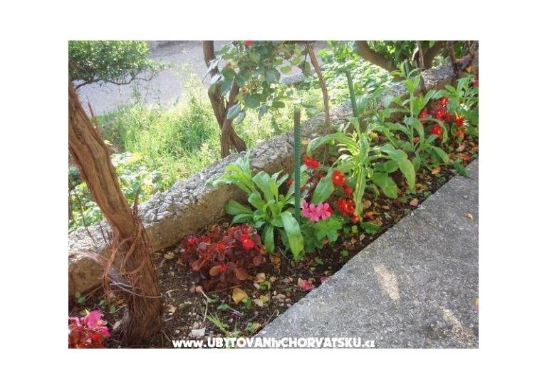 Apartamenty Tiho – foto 2