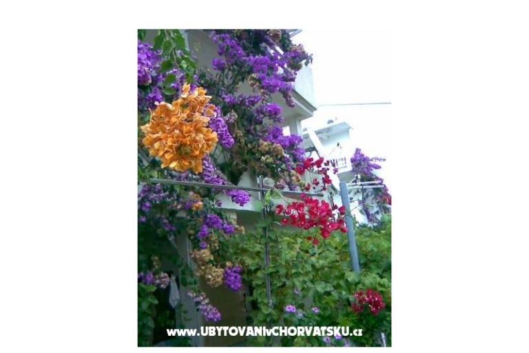 Apartamenty LM – foto 18