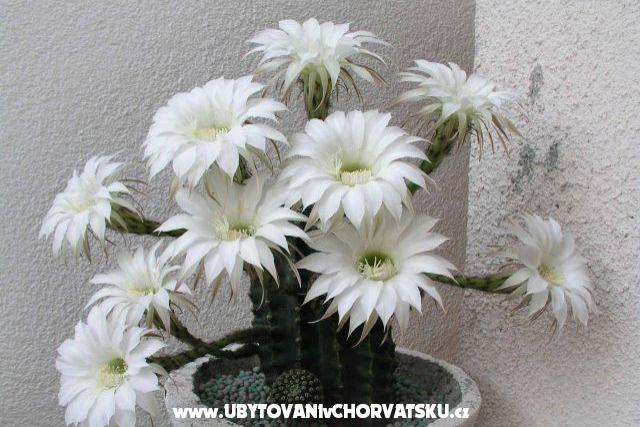 Apartamenty LM – foto 3