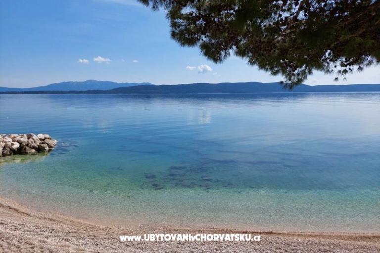 Apartamenty Nevescanin – foto 6