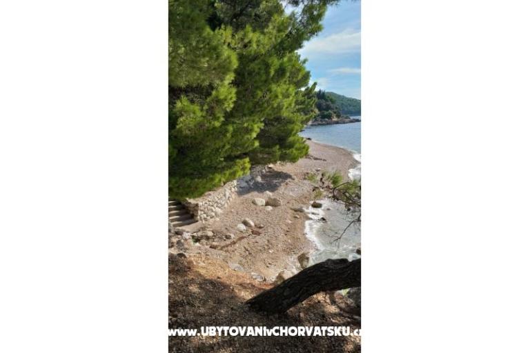 Apartamenty Ena – foto 9