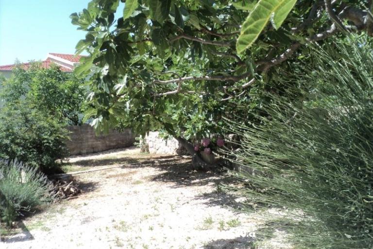 Apartamenty NEDA – foto 27