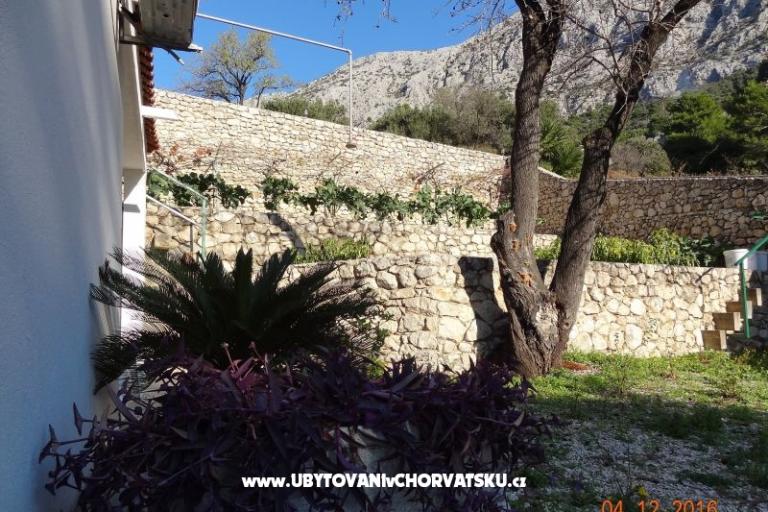 Dom Zorra Porat – foto 12