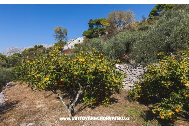 Holiday Home with sea view – foto 22