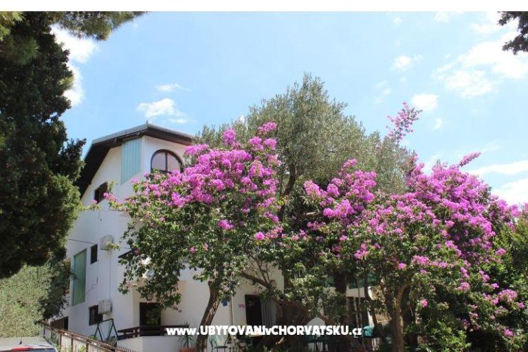 Apartamenty Vila Filipovic – foto 3