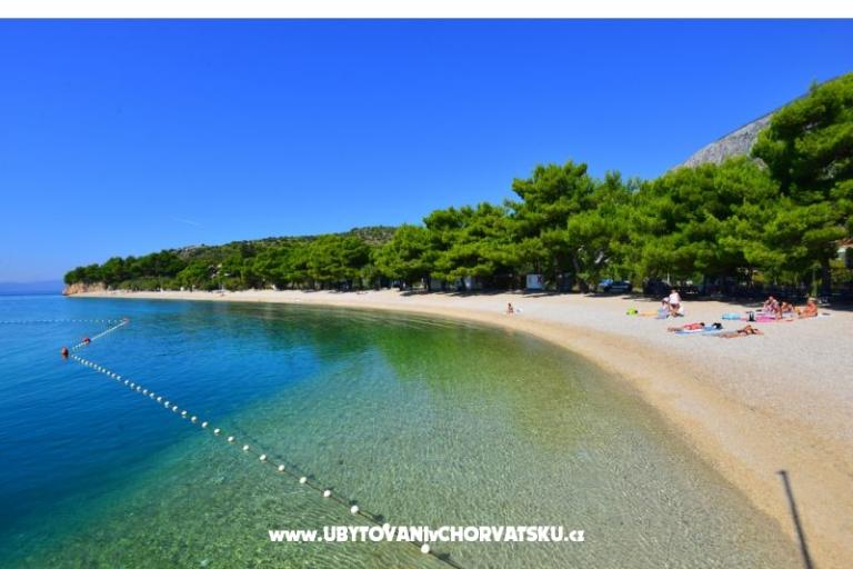 Villa Dalmatina – foto 14