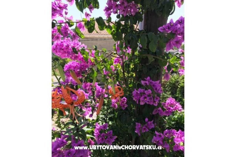 Apartamenty Kod Vlaha ,I&amp;T – foto 13