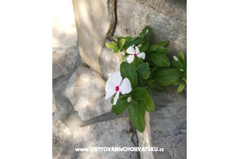 Apartamenty Kod Vlaha ,I&amp;T – foto 14