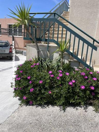 Apartamenty Leko – foto 22