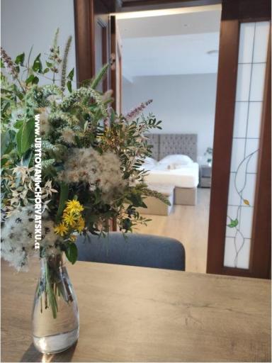 Vila Filipovic Apartamenty Žuljana – foto 14