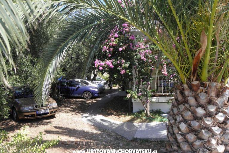 Apartamenty Cavelis – foto 14