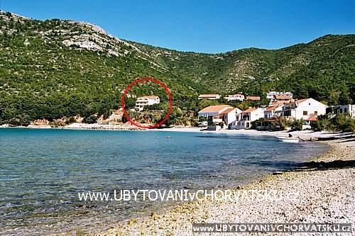 Apartamenty Cavelis – foto 7